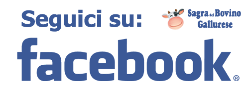 Seguici su Facebook